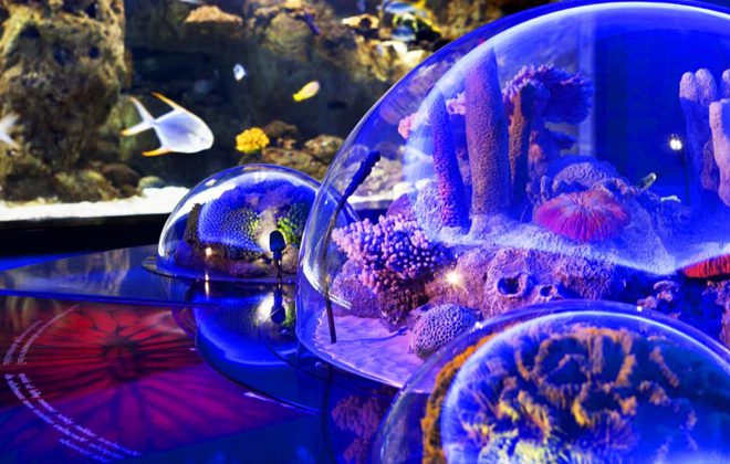 Antalya Aquarium – Kaden Group