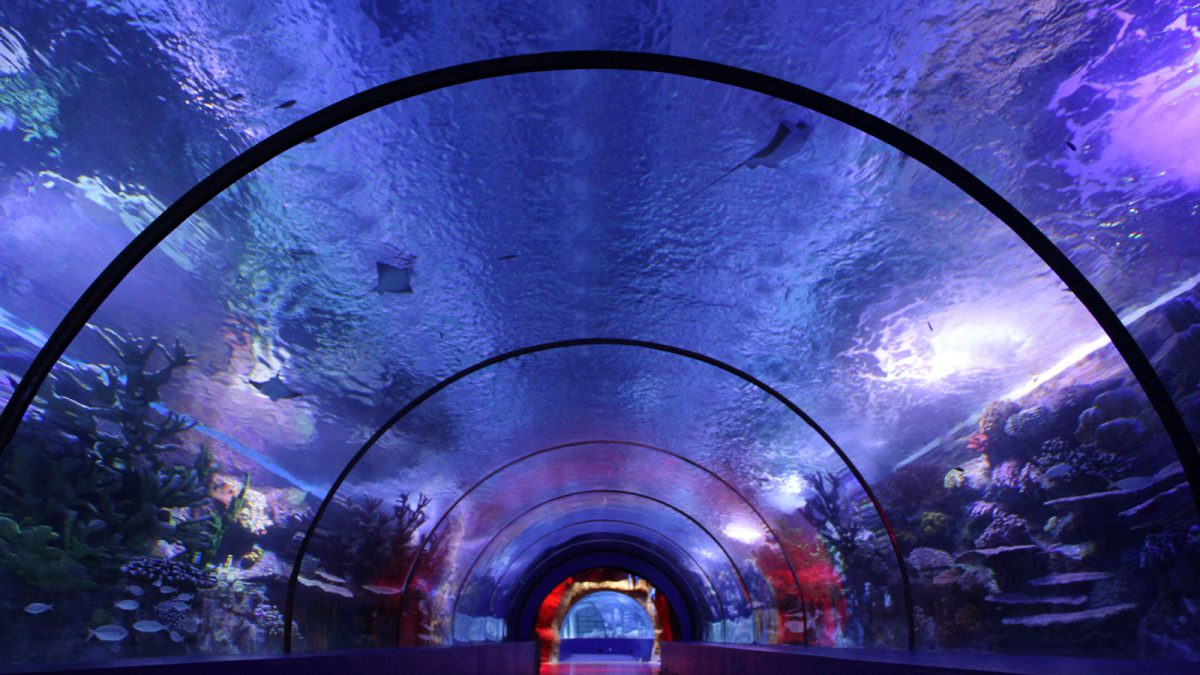 Antalya Aquarium - Kaden Group