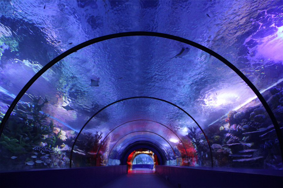 Antalya Aquarium - Kaden Group